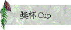 M Cup