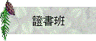 ҮѯZ